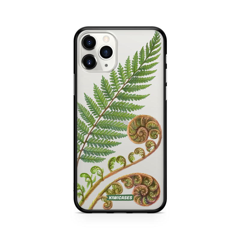 New Zealand Fern