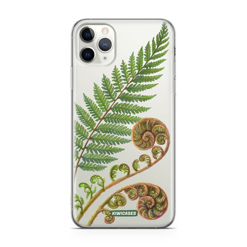 New Zealand Fern