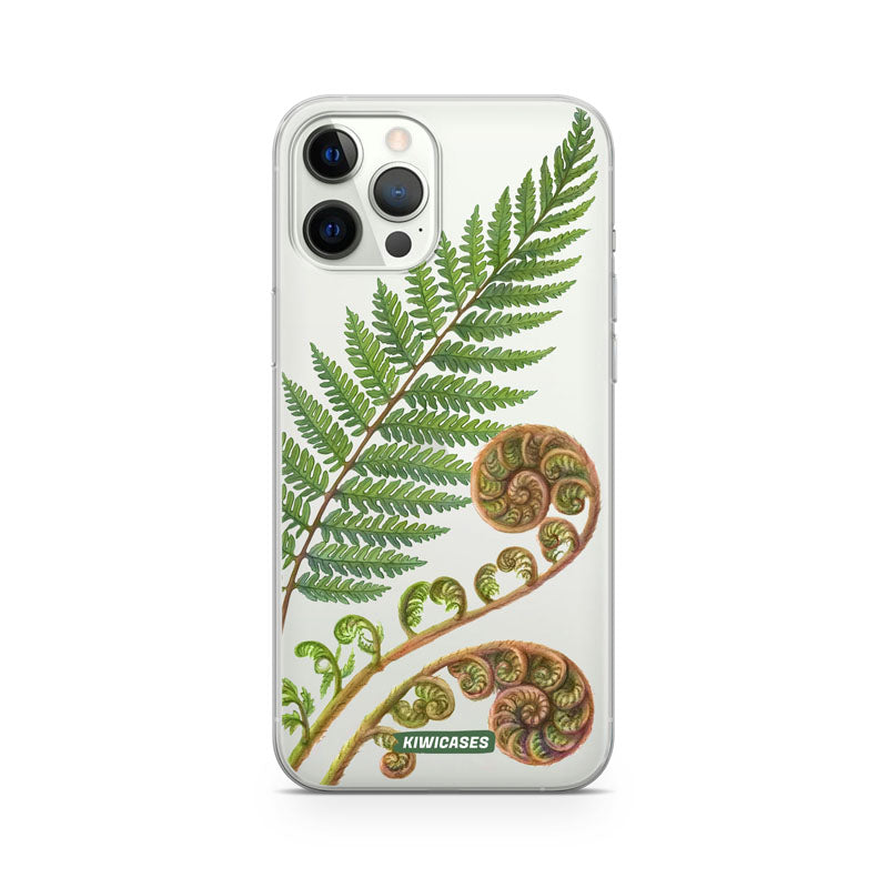 New Zealand Fern