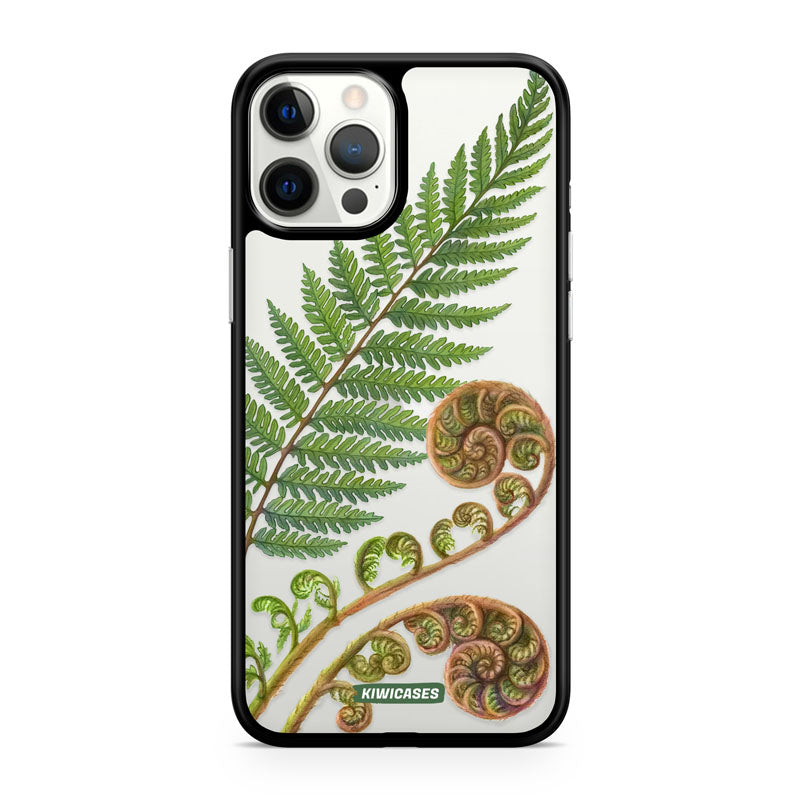 New Zealand Fern