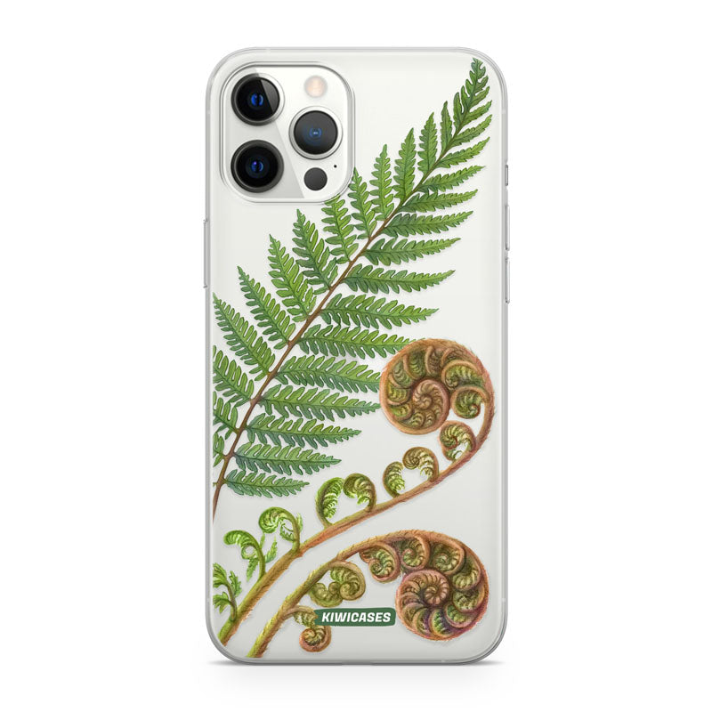 New Zealand Fern