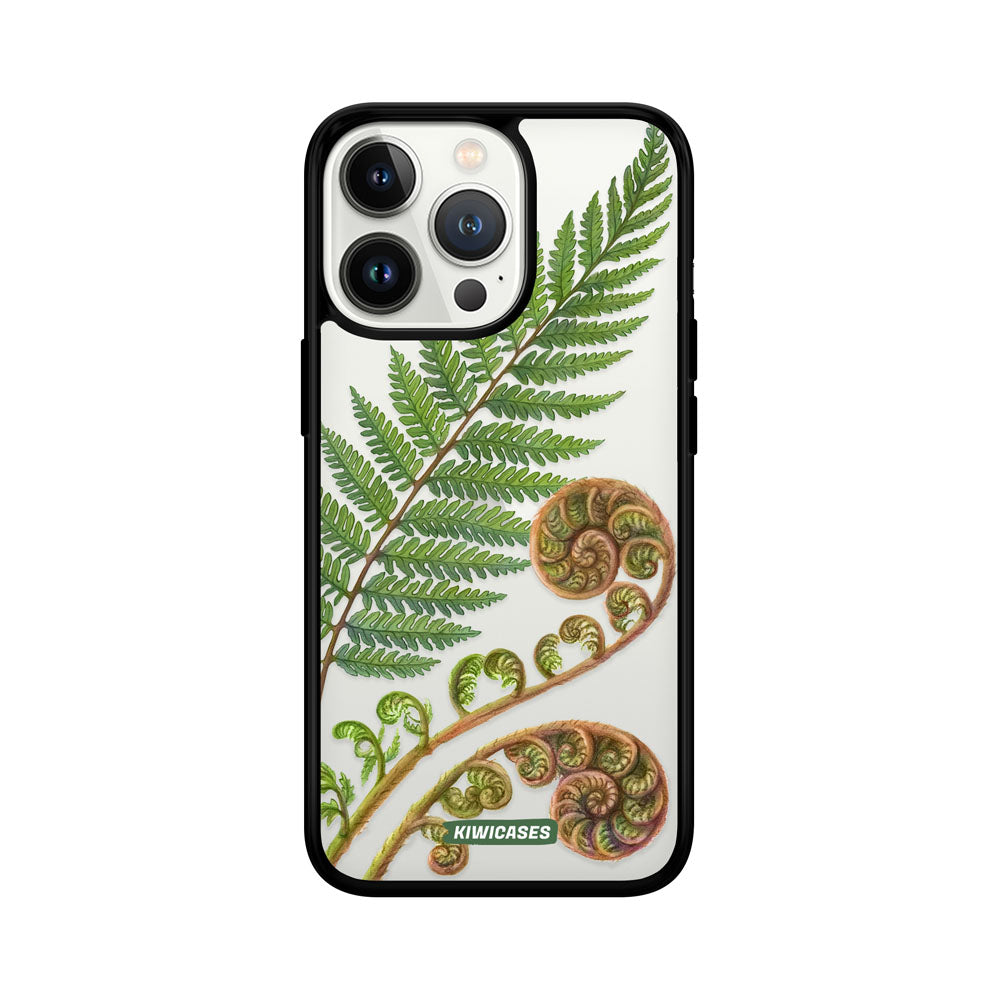 New Zealand Fern