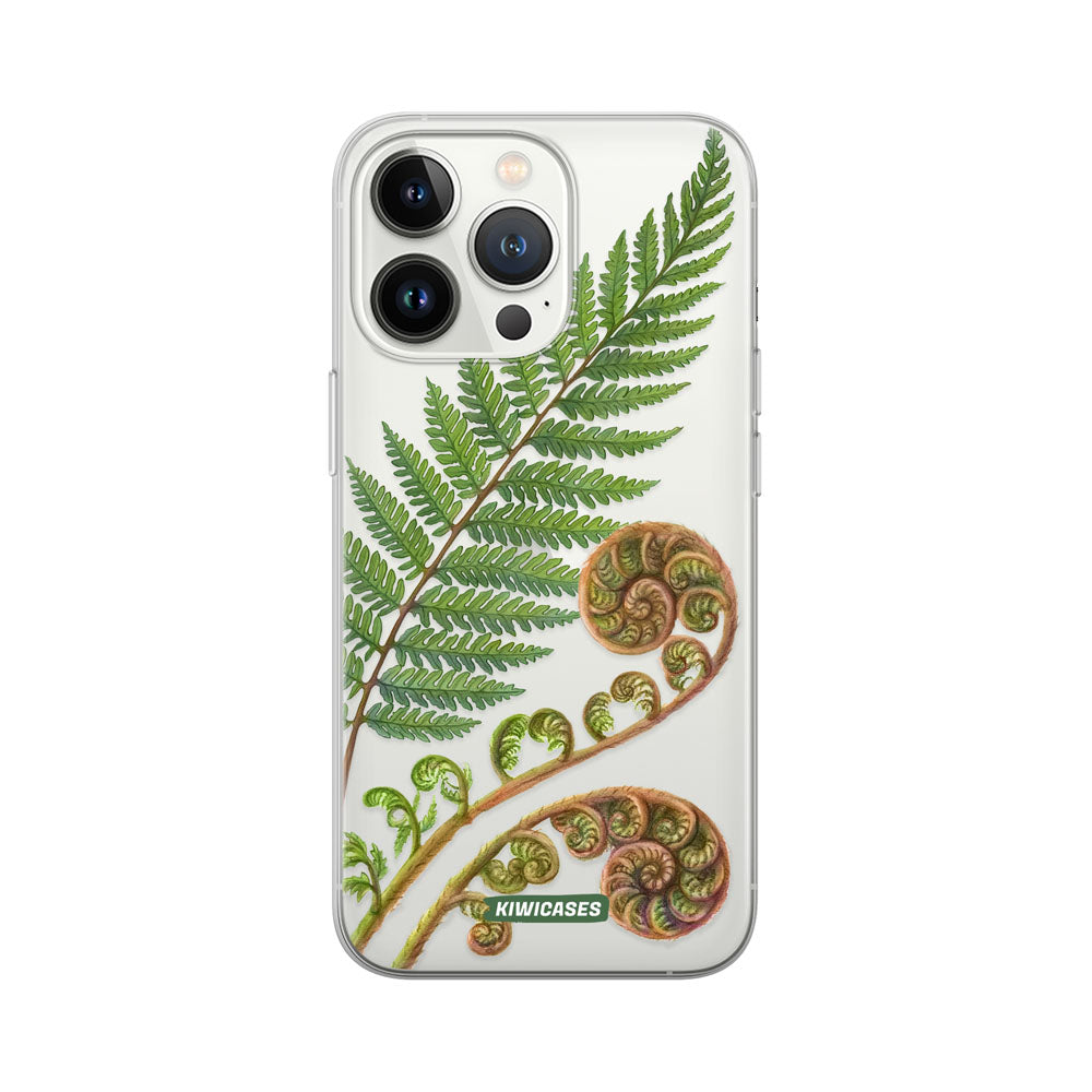 New Zealand Fern