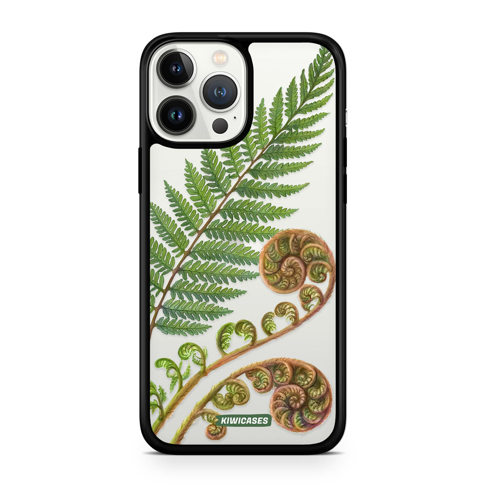 New Zealand Fern