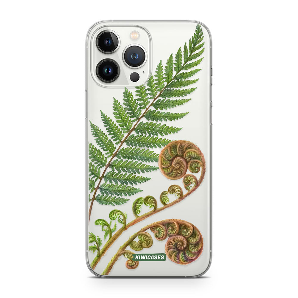 New Zealand Fern