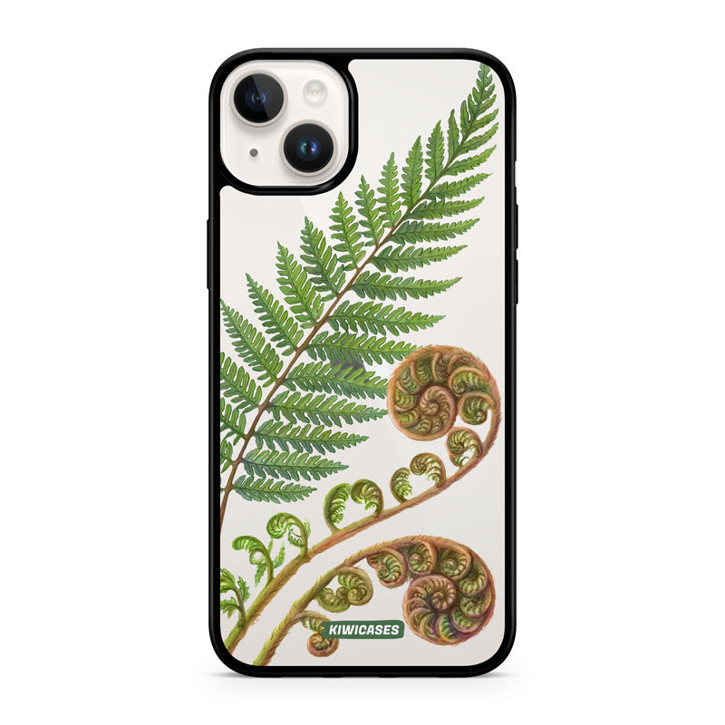 New Zealand Fern