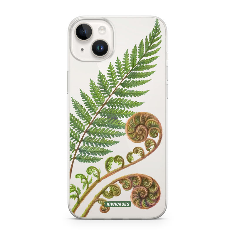 New Zealand Fern