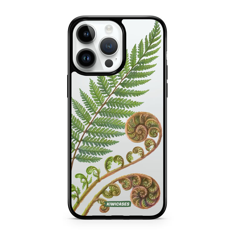 New Zealand Fern