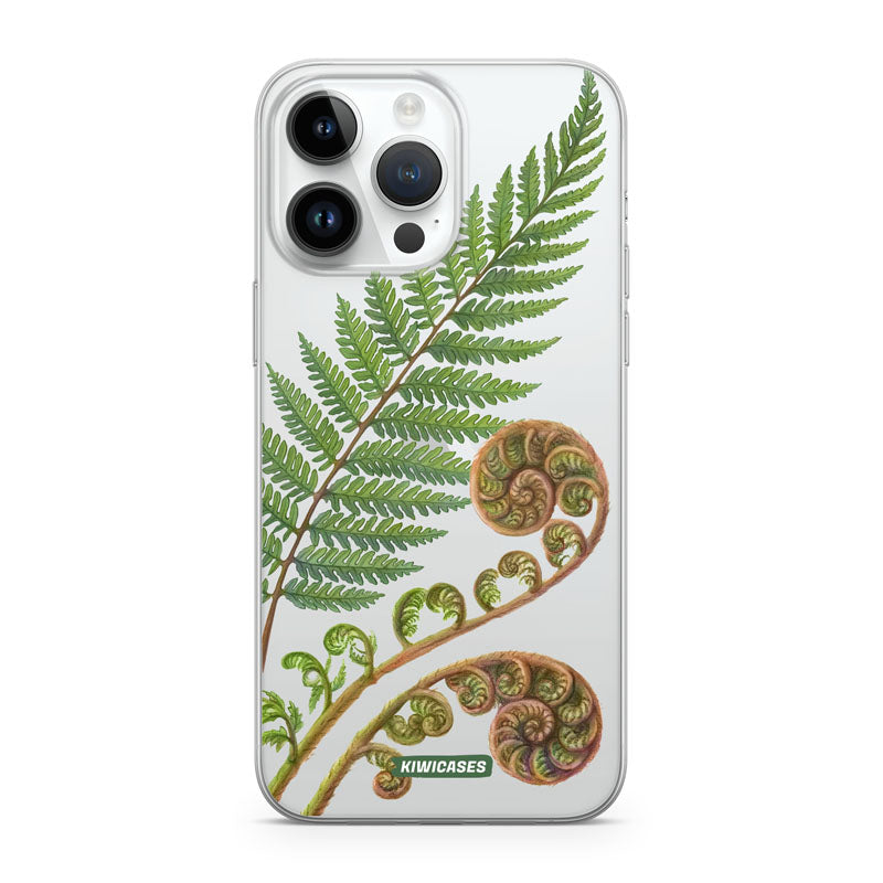 New Zealand Fern