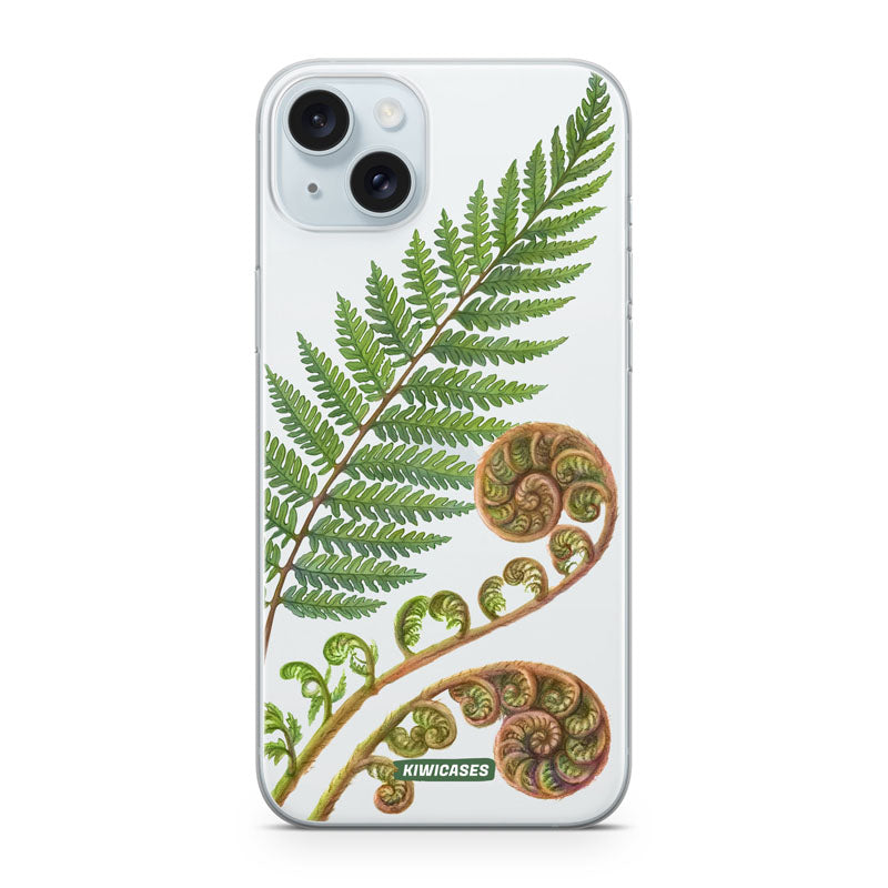 New Zealand Fern