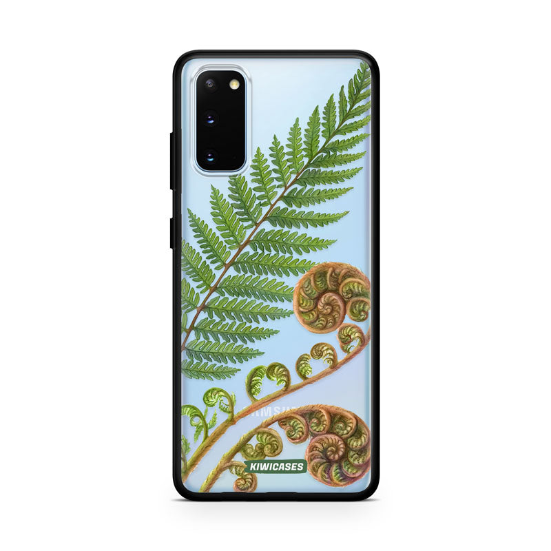 New Zealand Fern