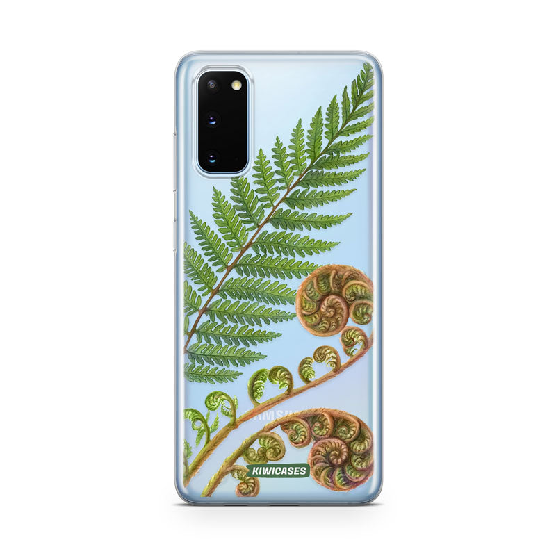 New Zealand Fern