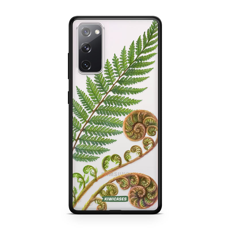 New Zealand Fern