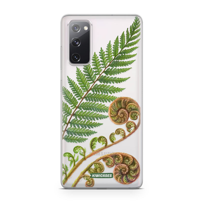 New Zealand Fern