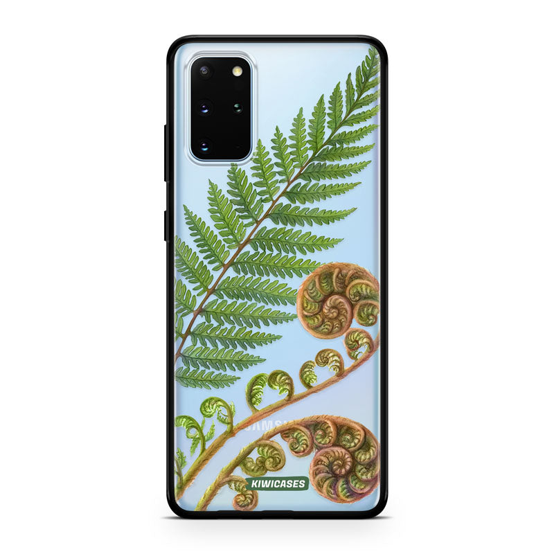 New Zealand Fern