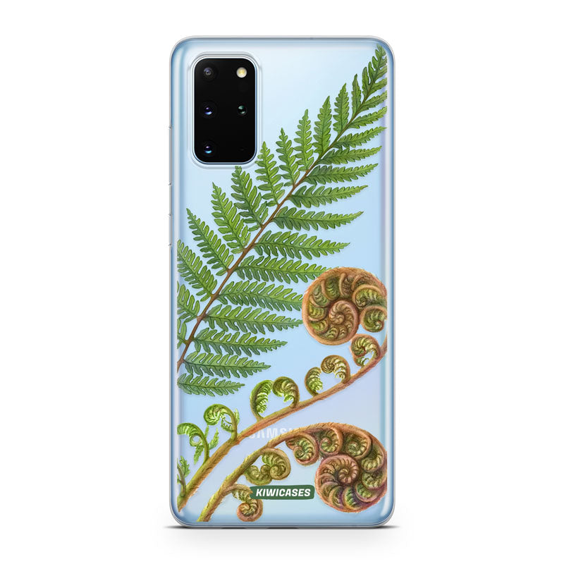 New Zealand Fern
