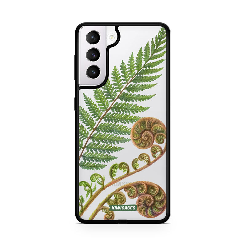 New Zealand Fern