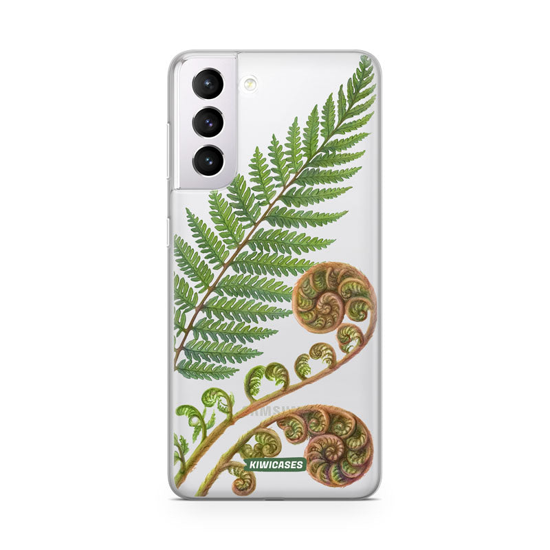 New Zealand Fern