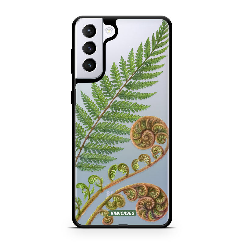 New Zealand Fern