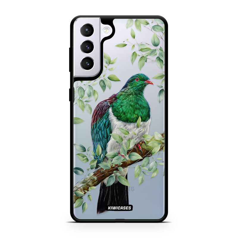 Kereru