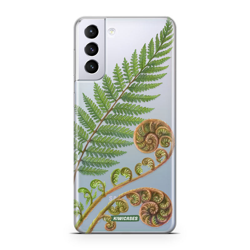 New Zealand Fern