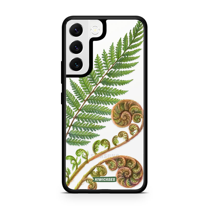New Zealand Fern