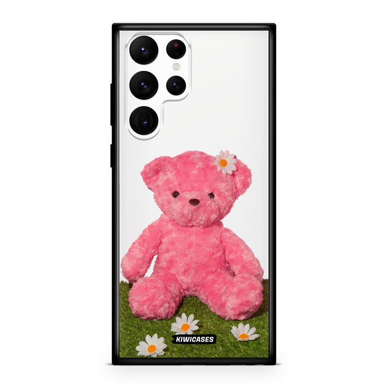 Pink Teddy