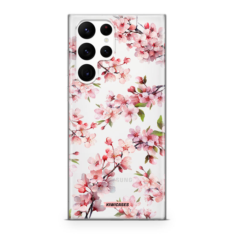 Cherry Blossom
