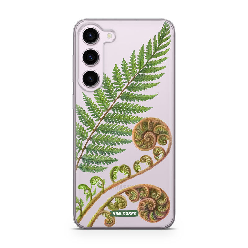 New Zealand Fern
