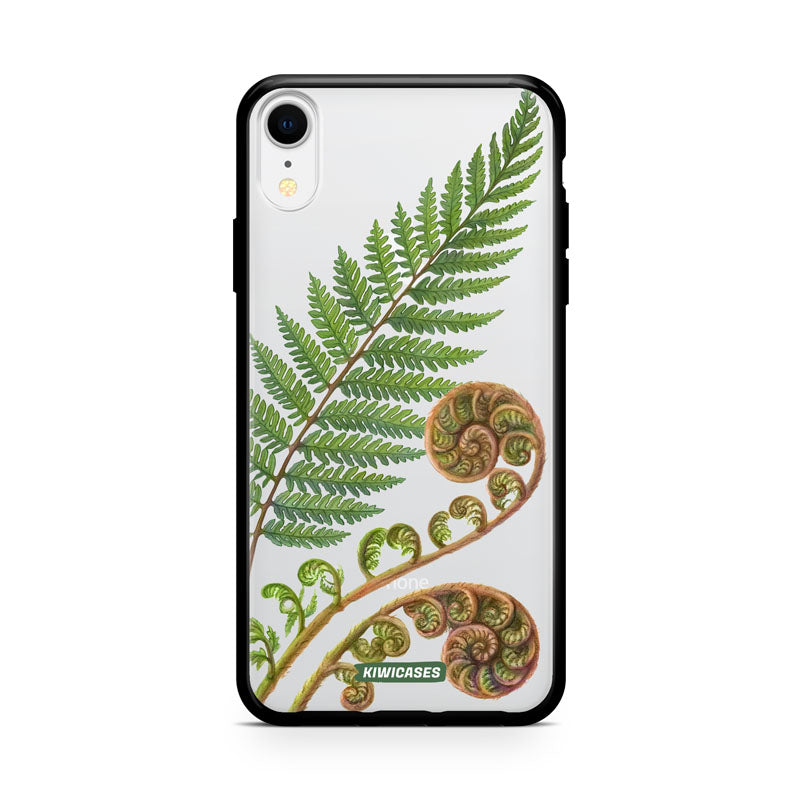 New Zealand Fern