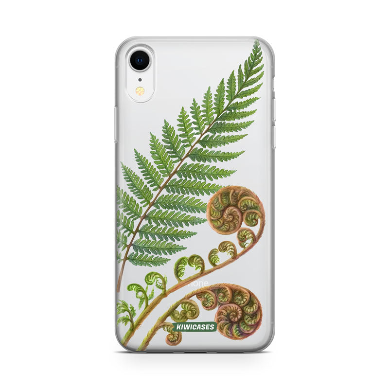 New Zealand Fern