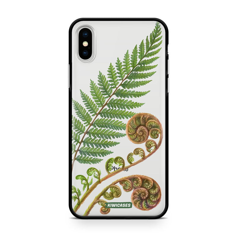 New Zealand Fern