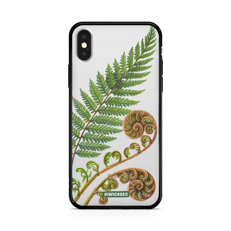 New Zealand Fern