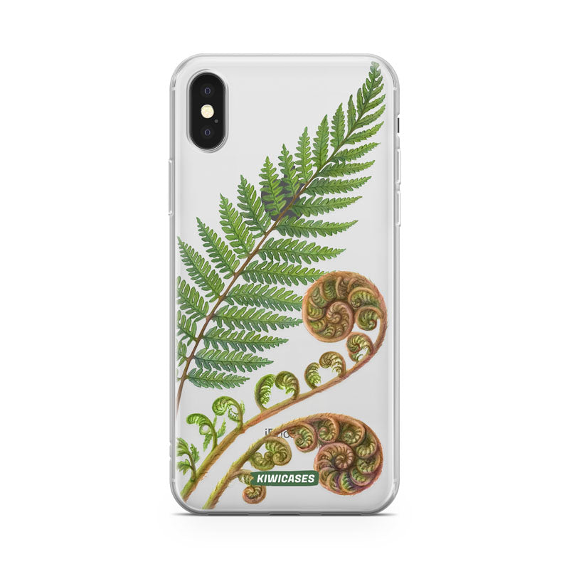 New Zealand Fern